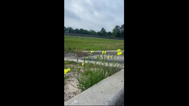 APR 3, 2026¬ part 1: bringing you in dollar general with me
