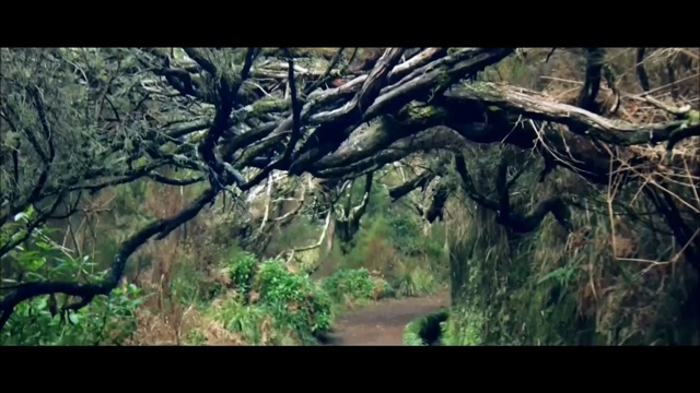 Kleeer - Say You'll Stay (1982)