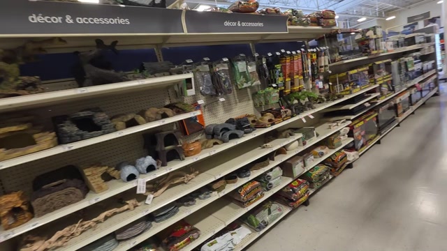🐶 What’s Inside PetSmart Calgary? Huge Pet Collection, Deals & Must-See Pet Supplies!