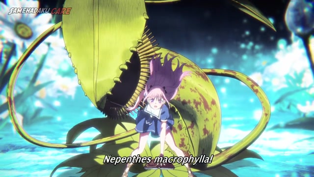 Kuroneko_to_Majo_no_Kyoushitsu E22 720p subtitle Indonesia