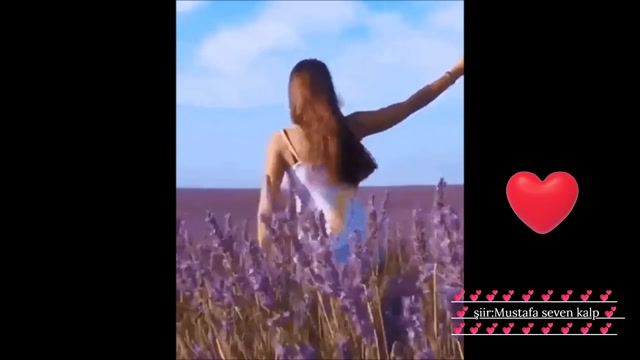 aşkı sevgiyle yaşayalım  Mustafa seven kalp