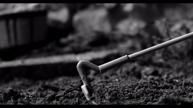 Horror Short Film ''Toe''