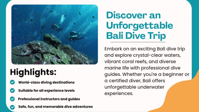 Bali Dive Trip — Experience the Best Underwater Adventures
