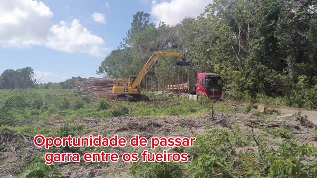 Grua