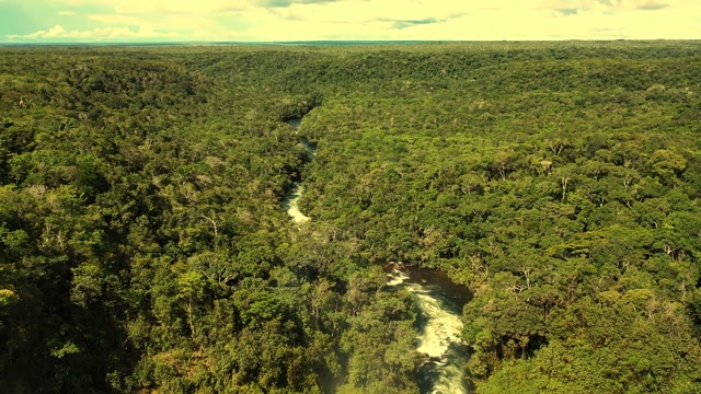 GOTARD - Amazonia