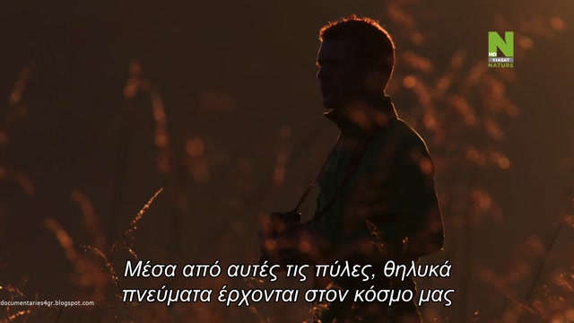 Τα Άγρια Νησιά της Ιρλανδίας - Η Θάλασσα των Ερπετών (Sea of Serpents)