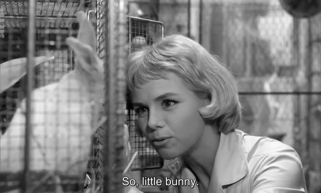 Les jeux de l'amour (1960)
