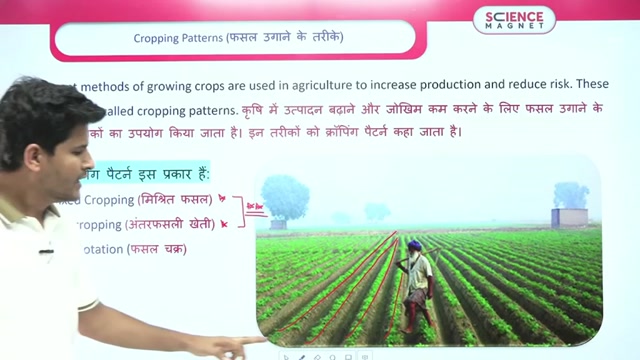 Day 43 Improvement in food Resources class 4