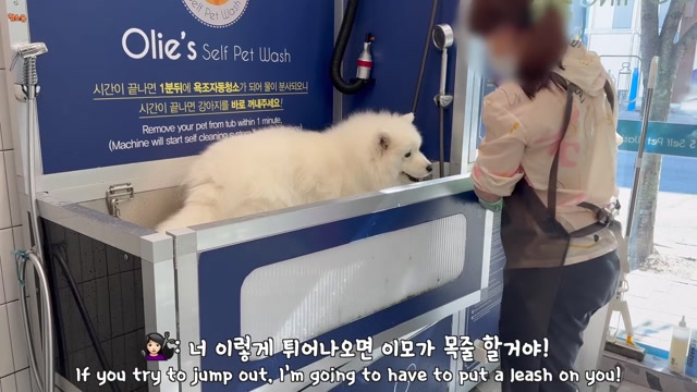 My Dog_s Reaction to a Stranger Bathing Her(1080P_HD)