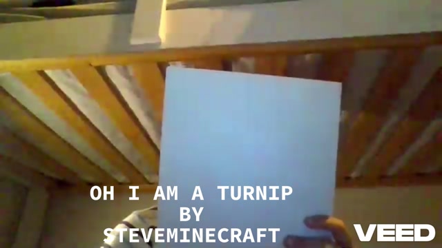 oh i am a turnip animation 2