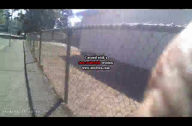 8/8/2026, (Targeted Individuals & Perp TV) Meet Associates @ David Foster/Friends Foundation Concert