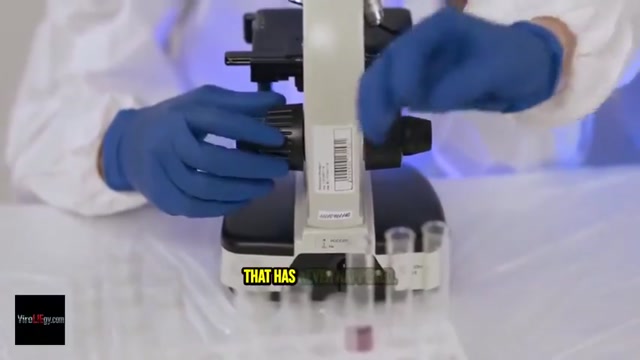 Do You Fucking STILL Believe That 'Viruses' Exist.