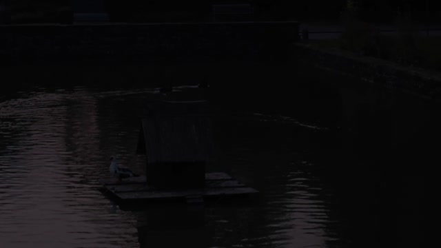 Trash 0000030