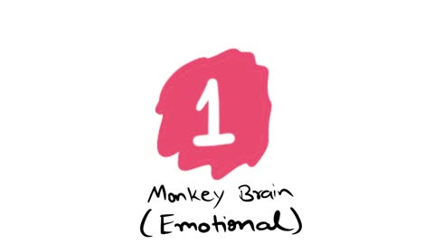 The Real Reason Monkey Gets Anxious (And How to Calm the Stress Fast)