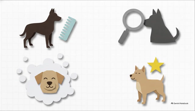 Dog Grooming Auckland | Expert Pet Grooming Services