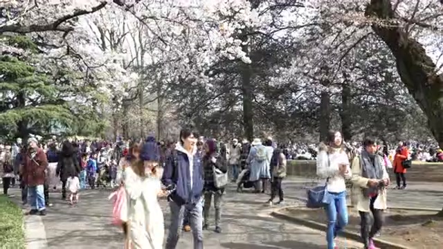8. Shinjuku Gyoen National Garden