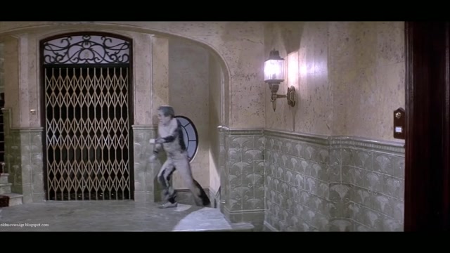 Revenge of the Pink Panther [1978]
