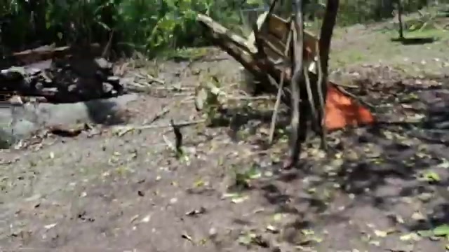 Apareci fevenrge panda en cerro