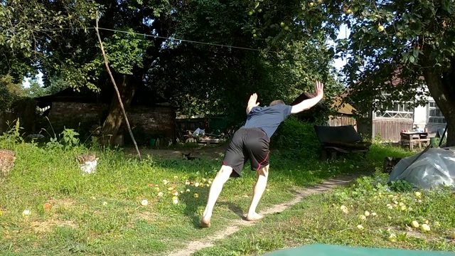 Front handspring - Serhii Solodkyi 896758