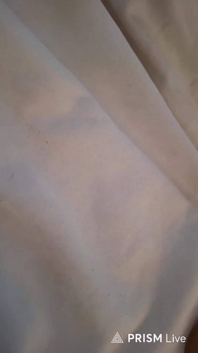 ethan ralph failed stream start (july 5th, 2026) [attempt 2]