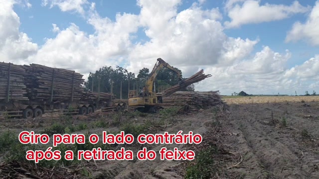 Grua