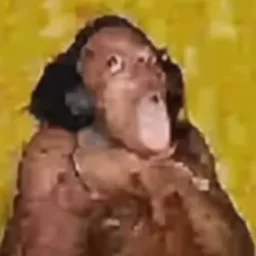 slicksloth