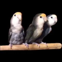 ienjoycreatingvideos