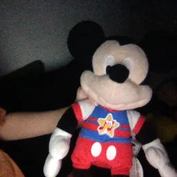 clubfanmice